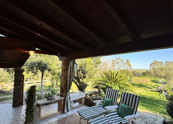 L'uliveto House Holiday home *