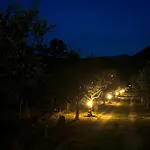 Nyaraló L'uliveto House *