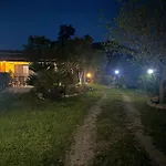 L'uliveto House