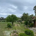 Сasa de vacaciones L'uliveto House *