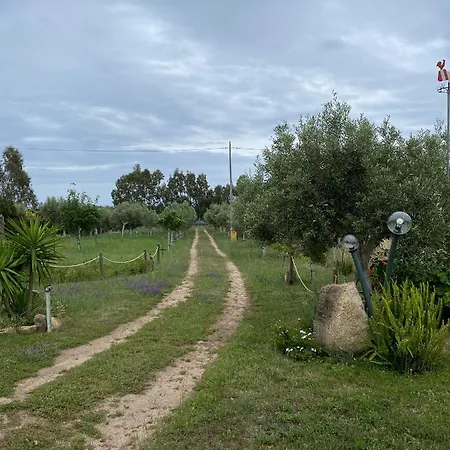 別荘 L'uliveto House