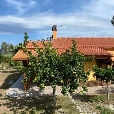 L'uliveto House בית נופש מוראברה