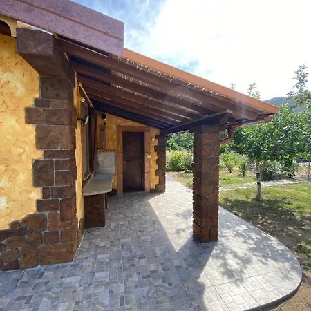 L'uliveto House בית נופש