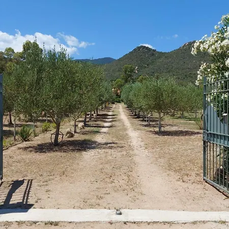 L'uliveto House * Muravera