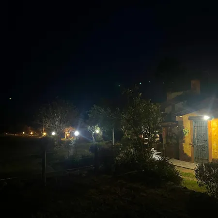 L'uliveto House בית נופש