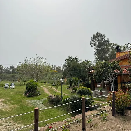 L'uliveto House בית נופש