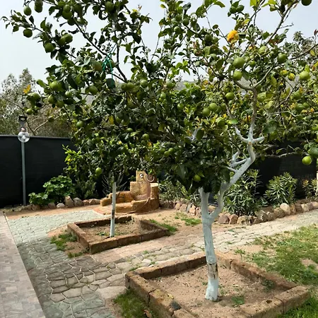 別荘 L'uliveto House