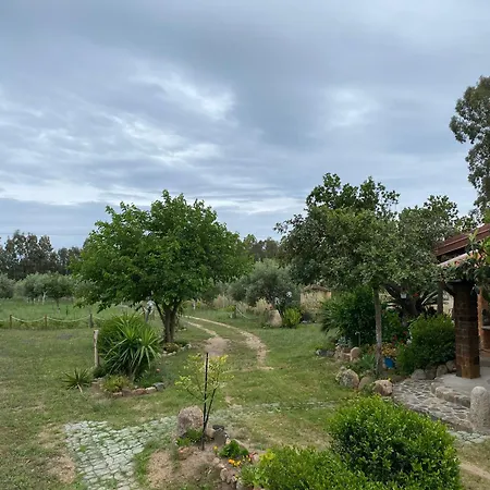 別荘 L'uliveto House *