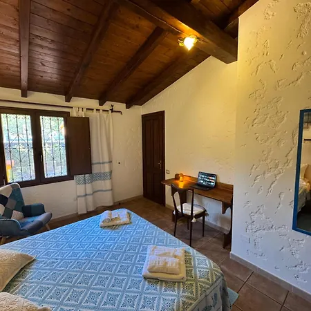 L'uliveto House