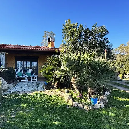 L'uliveto House Semesterbostad *