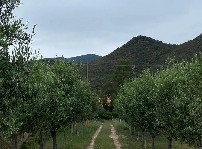 Casa vacanze L'uliveto House