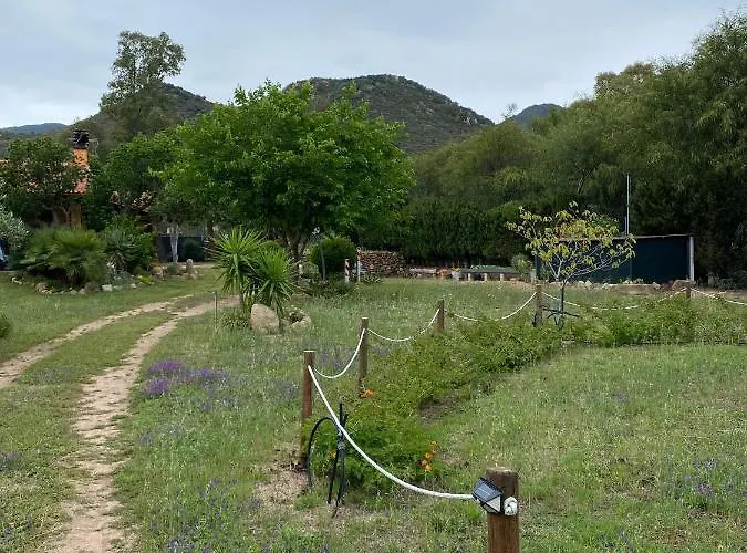 L'uliveto House Casa vacanze *