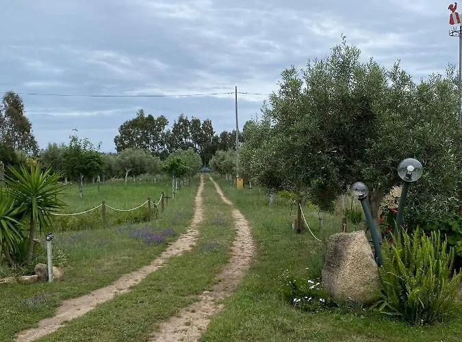 Casa vacanze L'uliveto House