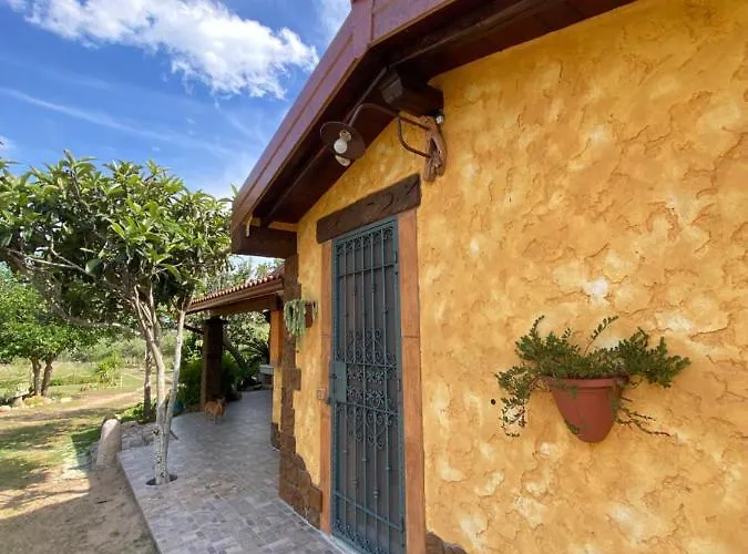 Casa vacanze L'uliveto House *