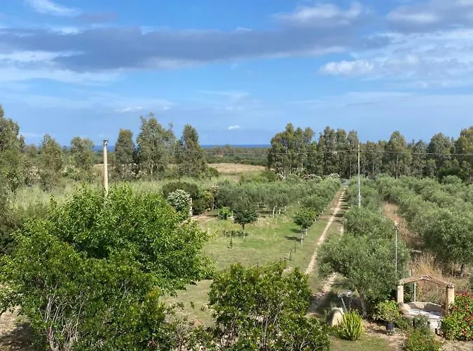 Casa vacanze L'uliveto House