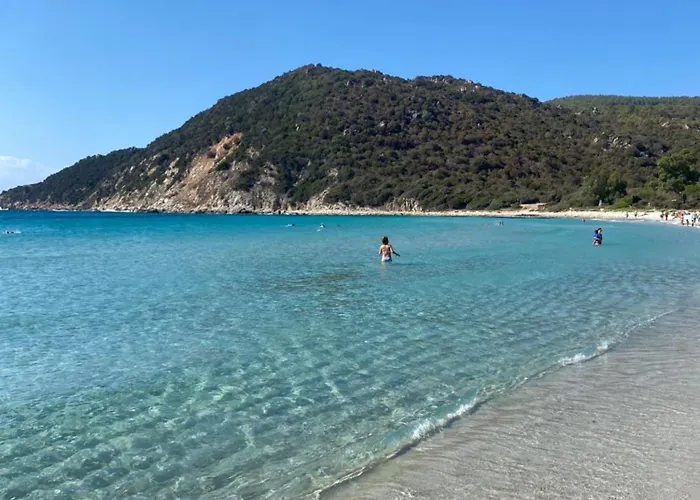 L'uliveto House Casa vacanze