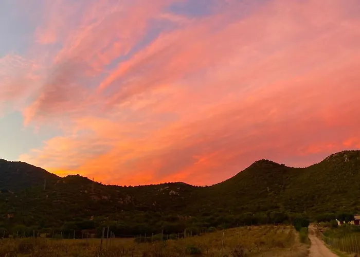 L'uliveto House * Muravera