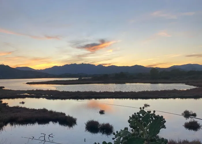 Casa vacanze L'uliveto House