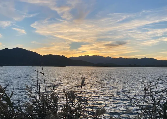 Casa vacanze L'uliveto House *