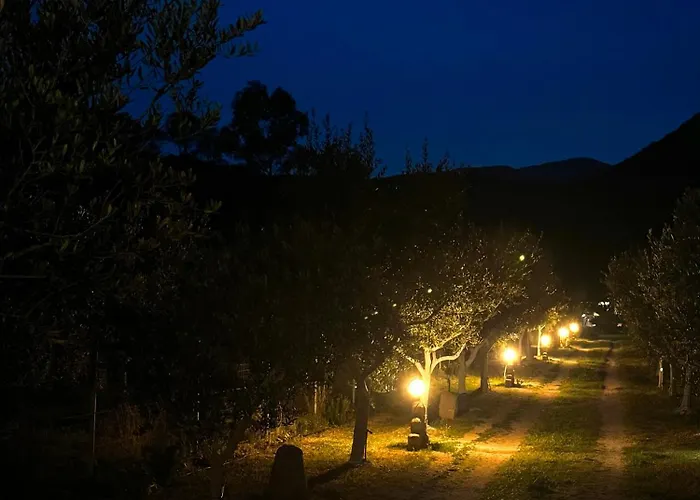 Casa vacanze L'uliveto House *