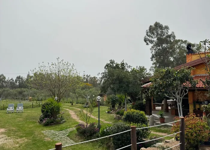 L'uliveto House Casa vacanze