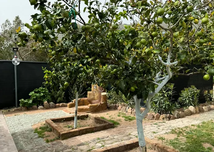 Casa vacanze L'uliveto House